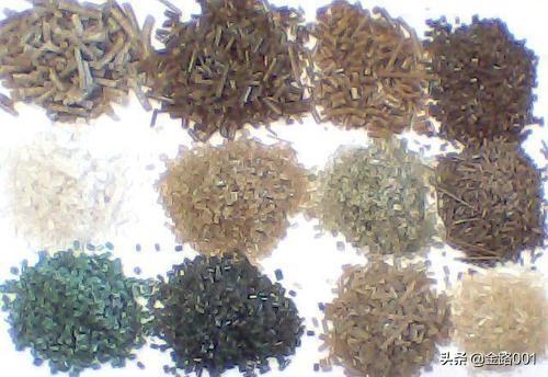 利润行业的隐形冠军 揭秘泡沫造粒机的商业潜力